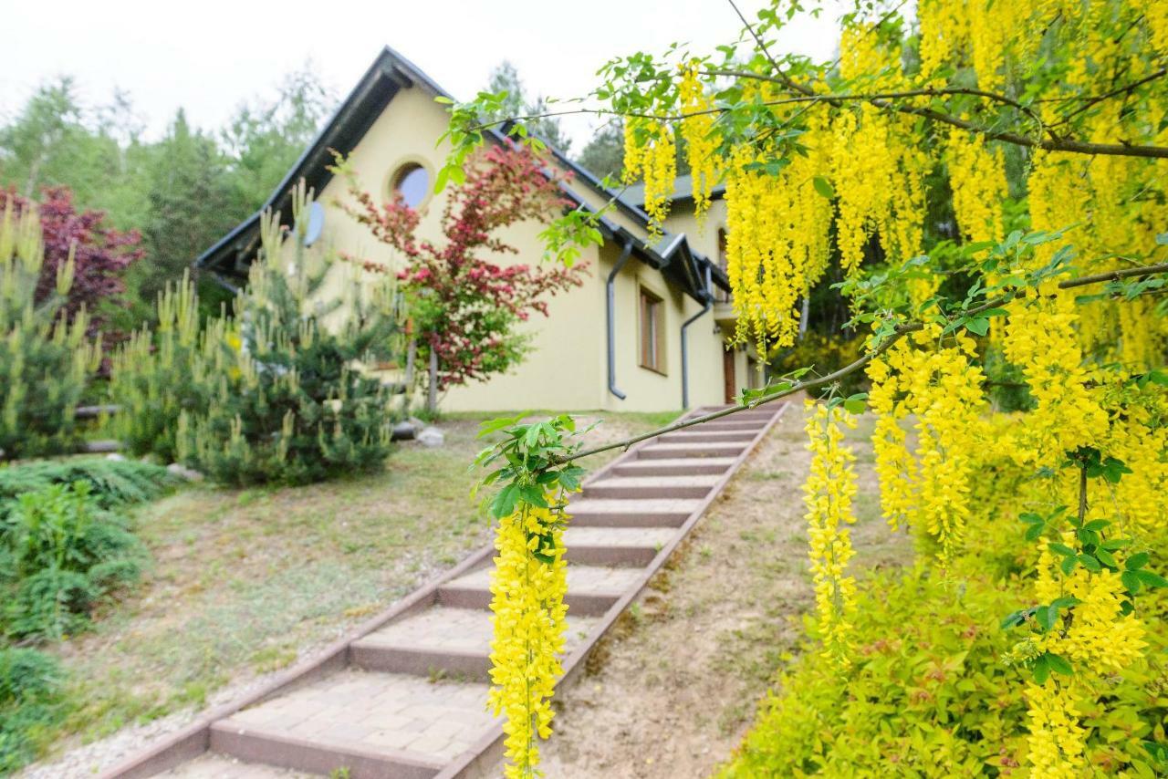 Вилла Zielone Wzgorza Битов Экстерьер фото